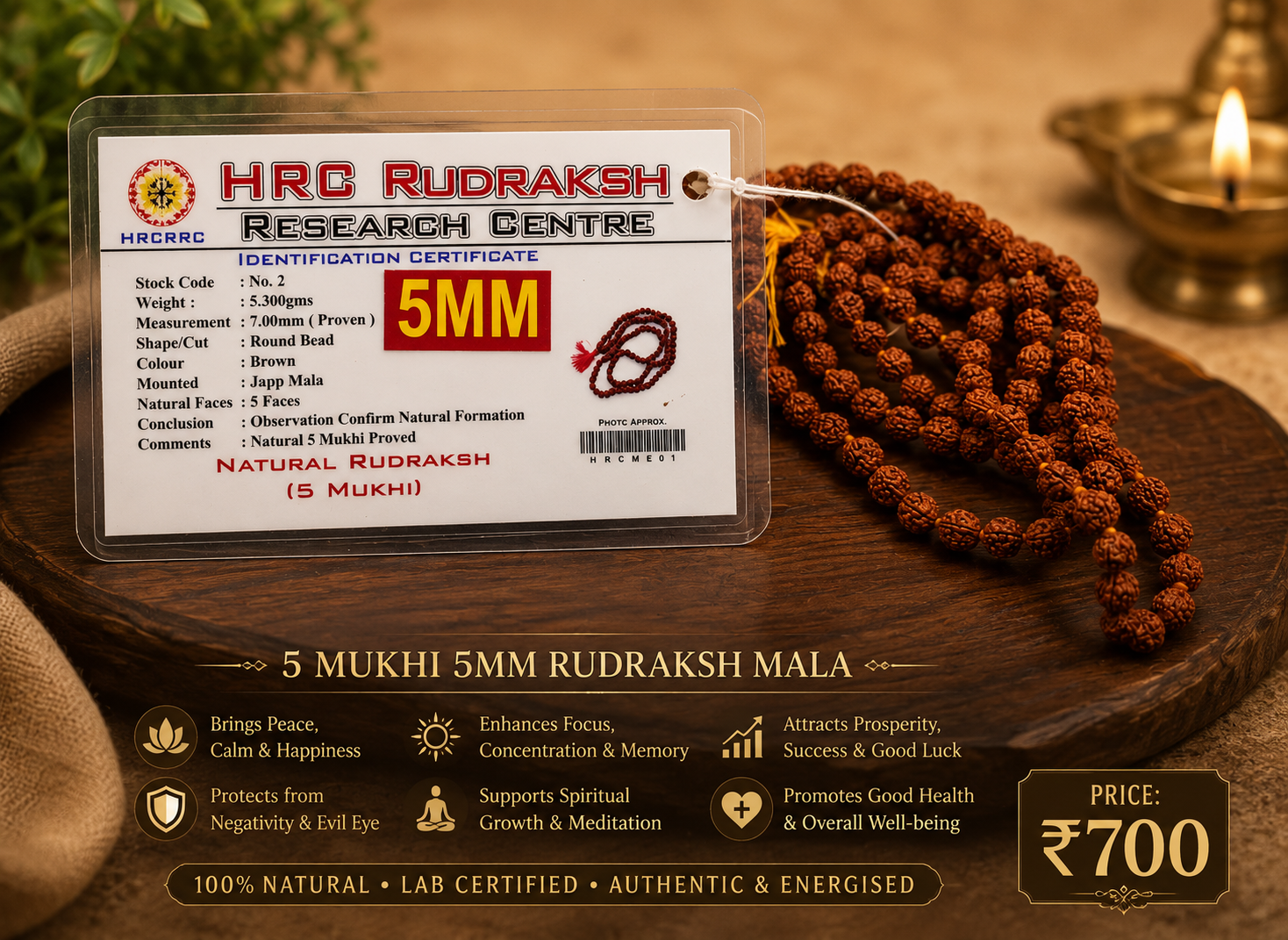 Rudraksh Mala - 5 mukhi size 5mm
