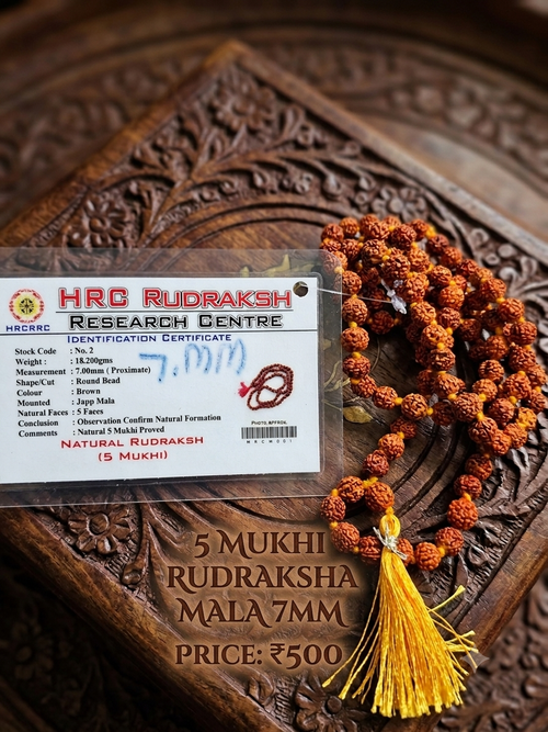 Rudraksh Mala - 5 mukhi size 7mm